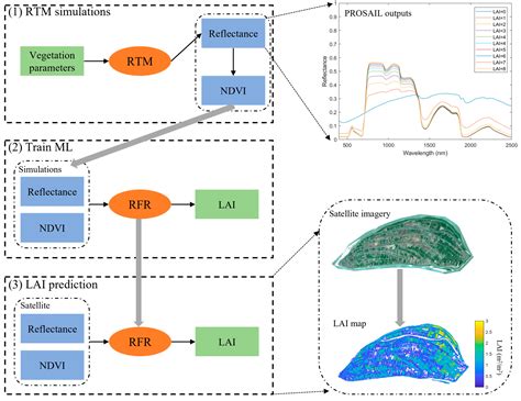 River Bars and Vegetation Dynamics in Response to Upstream Damming: A ...