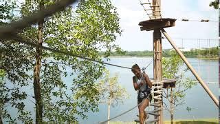 Forest Adventure 的图像结果