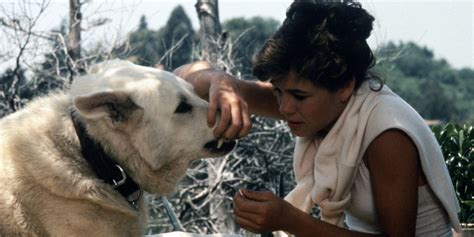 White Dog Full Free Movie 的图像结果