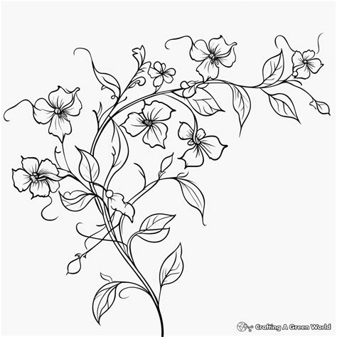 Flower Vine Coloring Pages - Free & Printable!
