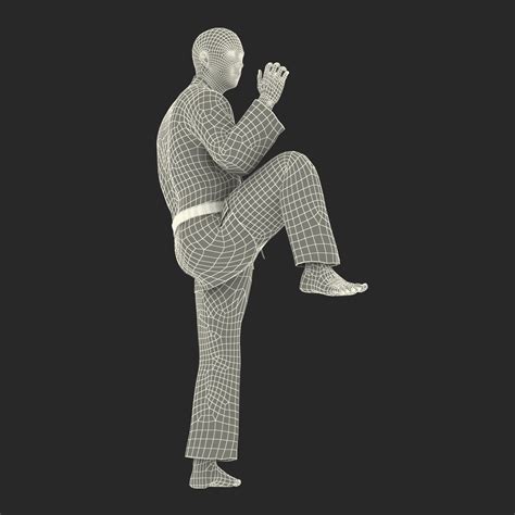 3D model Japanese Karate Fighter Pose 3 | 3D Molier International