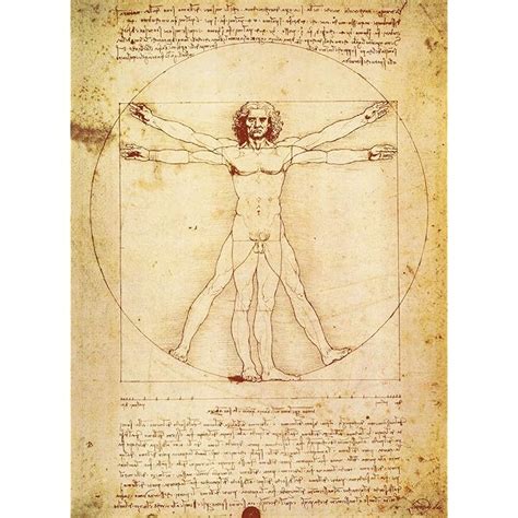Buy PalaceLearning Vitruvian Man by Leonardo Da Vinci Poster ...