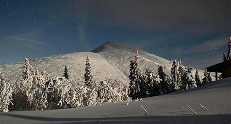 CHATA POD CHLEBOM (Sutovo) - Hostel Reviews & Photos - Tripadvisor