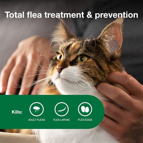 Advantage Vet-Recommended Flea Treatment for Large Cats | India | Ubuy