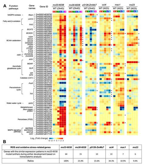 Cells | Special Issue : Pollen Development
