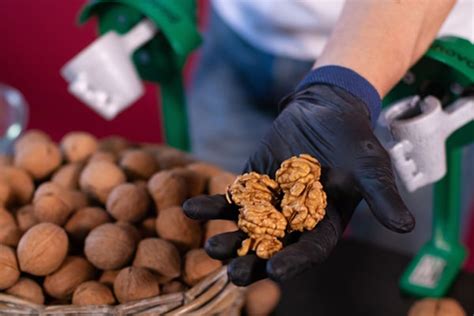 Image result for Walnut Processing Machine