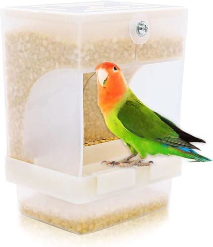Buy Bird Automatic Plastic Feeder with Waste Try Suitable for Finches ...