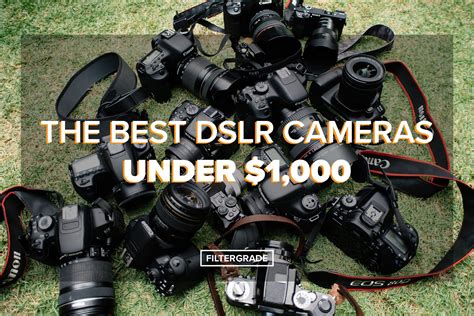 Top DSLR Cameras Under $1,000 in 2020 - FilterGrade
