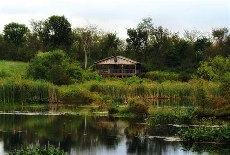 OLD CROW WILDLIFE OBSERVATION AREA (2026) All You Need to Know BEFORE ...