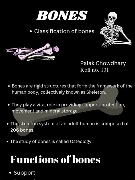 Image result for Human Bones Classification and Exaplain There Functions