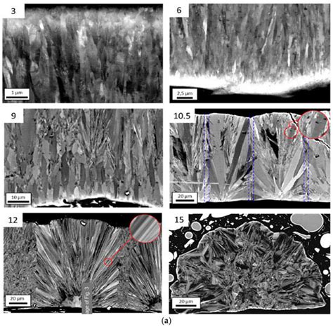 Progress in Polycrystalline SiC Growth by Low Pressure Chemical Vapor ...