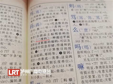 70岁的《新华字典》上新了，新增“初心”“点赞”等词_要闻_大听网_泸州市广播电视台