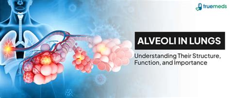 Pulmonary Fibrosis: Symptoms, Causes, Treatment & Management