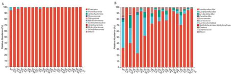 Effects of Additives and Planting Density on Silage Performance and ...