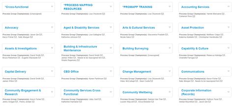 Nintex Promapp Overview 的图像结果