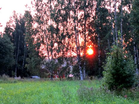 Image result for Ruby Doll Sunset