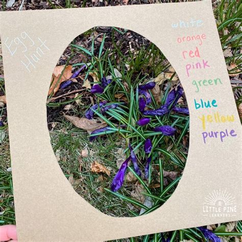 Image result for Spring Fun Walk