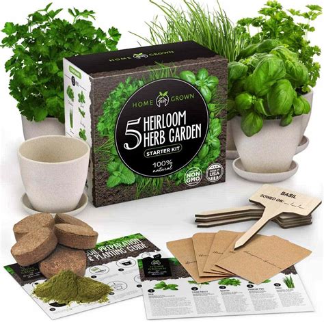 The 9 Best Herb Garden Kits of 2022