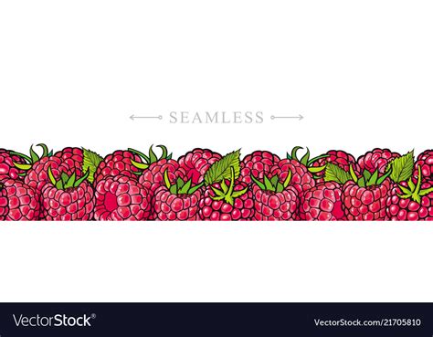 Image result for Raspberry Color Border
