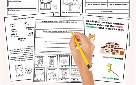 Image result for French Writing