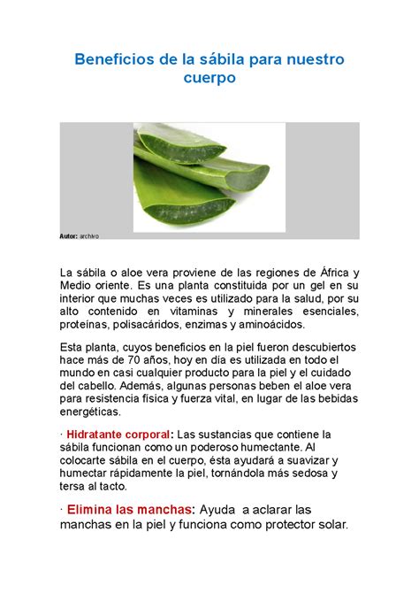10 beneficios de la sábila para nuestro cuerpo - Beneficios de la sábila para nuestro cuerpo ...