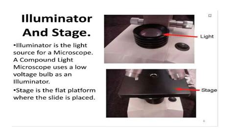 Compound Microscope Lab 的图像结果