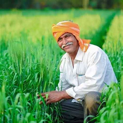 Enogic Commercial Trade Pvt Ltd- About