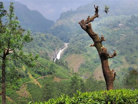 Experience the Magic of Attukad Waterfalls in 2025