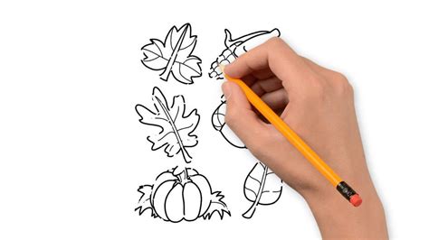 Image result for Fall Leaves Drawing