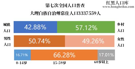 2024年[云南]大理州大理白族自治州人口第七次人口普查数据和历史人口数据 年龄金字塔结构 民族组成情况-红黑人口库