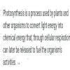 what is photosynthesis - Brainly.in