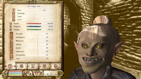 Oblivion Character Creator