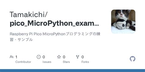 Raspberry Pi Pico Python Examples 的图像结果