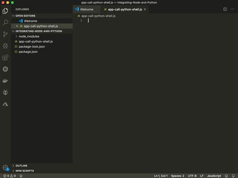 Image result for Python Shell Node.js