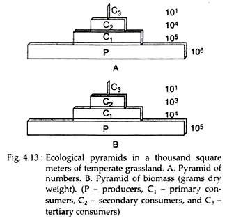 Image result for Type 1 Pyramids