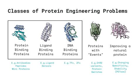 Image result for Machine Learning for Protein Engineering