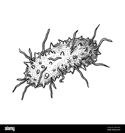 Black Plague Clipart