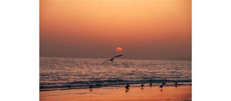 Events & Festivals in India | A Ministry of Tourism Initiative