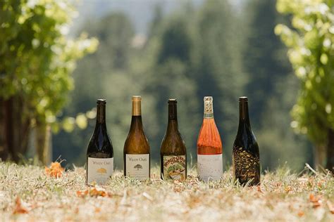 Windy Oaks Corralitos Estate Winery and Tasting Room - GOOD TIMES ...