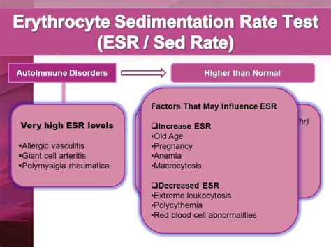 ESR Testing 的图像结果