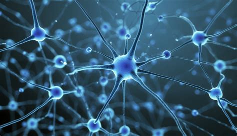 Image result for Neuroplasticity and Learning
