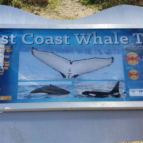 BICHENO - NATIONAL WHALE TRAIL (2025) All You Need to Know BEFORE You ...