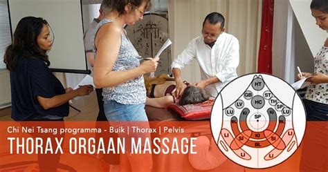 Thorax Orgaan Massage workshop: Chi Nei Tsang voor de Thorax, Yin Yang ...