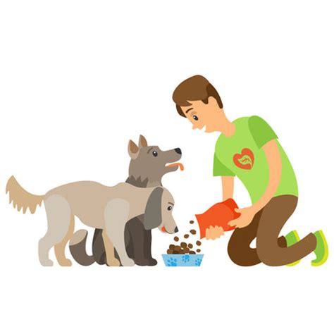 What to and What not to Feed Stray / Shelter Dogs – Ruse