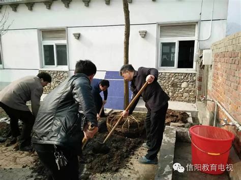 点赞：信阳平桥区委书记王继军为村小学生做义工-搜狐