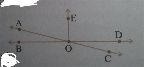 In the adjoining figure, name the following pairs of angles.(1) Obtuse ...