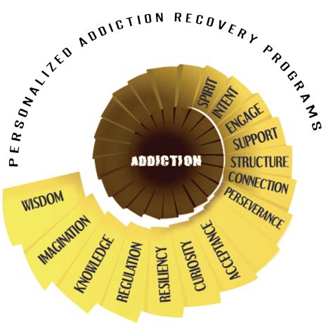 Image result for Types of Recovery Programs