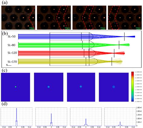 Femtosecond Laser Fabrication of Submillimeter Microlens Arrays with ...