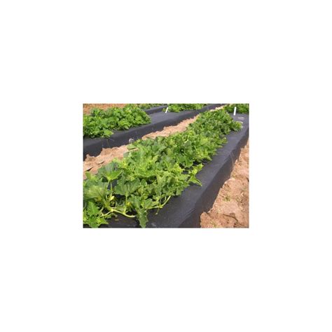 Buy BERRY 4ft x 4000ft x 1.00mil Black Embossed Plastic Mulch Online at ...