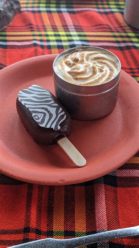 Savor the Savanna Tour at Disney's Animal Kingdom Review — Disney with Deb